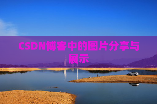 CSDN博客中的图片分享与展示